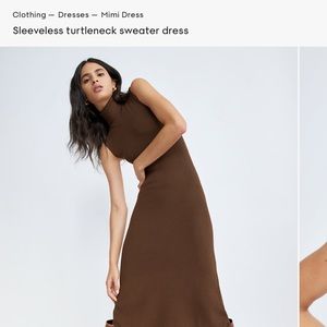 ISO Aritzia Wilfred Free Mimi sleeveless turtleneck dress in caramelized walnut
